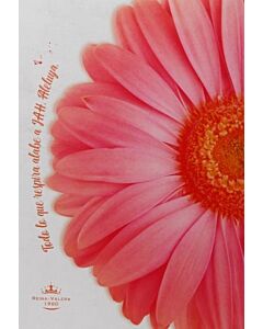 SANTA BIBLIA REINA VALERA PETALOS ROSA LETRA GRANDE