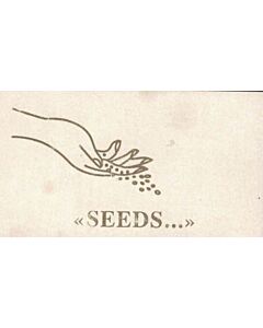 SEEDS MINI LIBRO INGLES