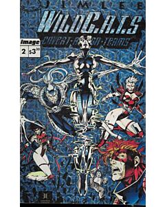 WILDCATS VOL 2 COVERT ARMOR TEAMS