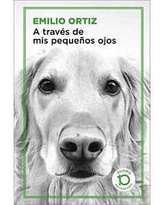 A TRAVES DE MIS PEQUEÑOS OJOS