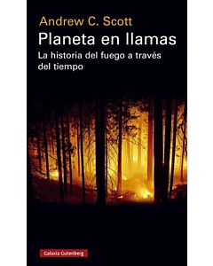 PLANETA EN LLAMAS