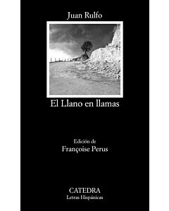 LLANO EN LLAMAS, EL
