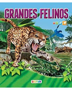 GRANDES FELINOS