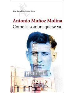 COMO LA SOMBRA QUE SE VA