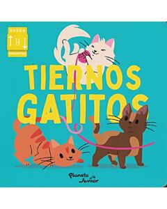 TIERNOS GATITOS BUSCA Y ENCUENTRA
