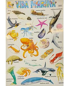 AFICHE VIDA MARINA