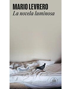 NOVELA LUMINOSA, LA
