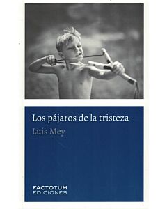 PAJAROS DE LA TRISTEZA, LOS