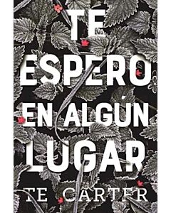 TE ESPERO EN ALGUN LUGAR