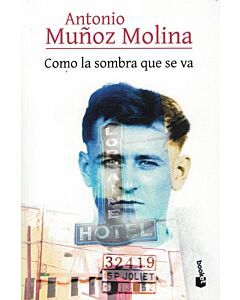 COMO LA SOMBRA QUE SE VA