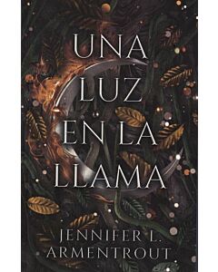 UNA LUZ EN LA LLAMA
