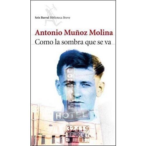 COMO LA SOMBRA QUE SE VA