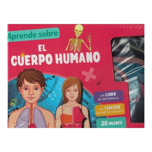 CUERPO HUMANO, EL