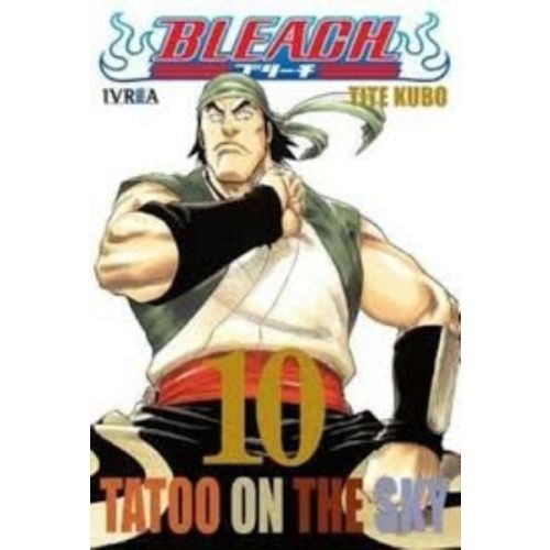 BLEACH VOL 10