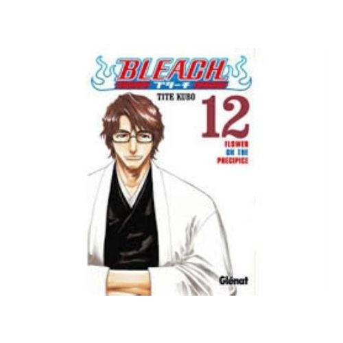 BLEACH VOL 12