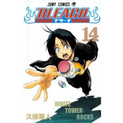 BLEACH VOL 14