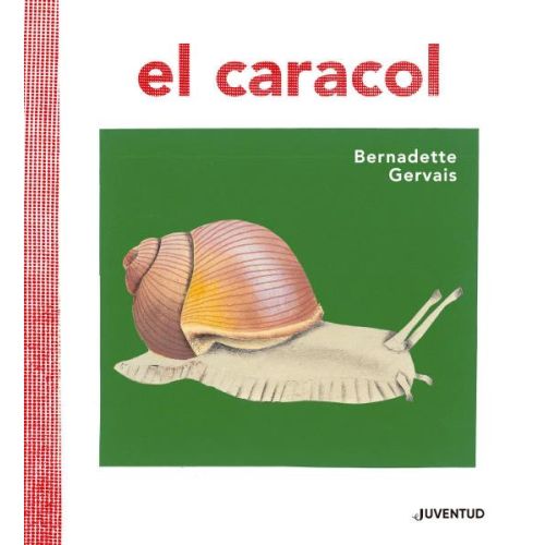 CARACOL, EL