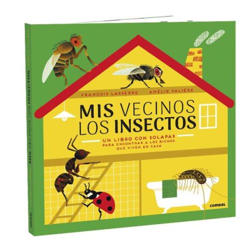 MIS VECINOS LOS INSECTOS