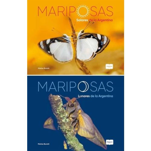 MARIPOSAS SOLARES Y LUNARES