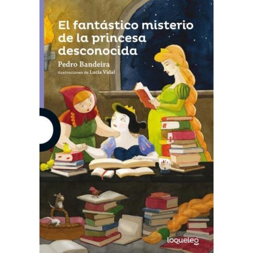 FANTASTICO MISTERIO DE LA PRINCESA DESCONOCIDA, EL