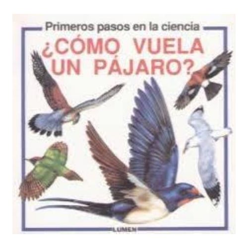 COMO VUELA UN PAJARO