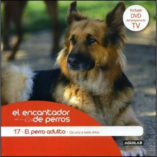 PERRO ADULTO, EL EL ENCANTADOR DE PERROS