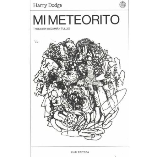 MI METEORITO