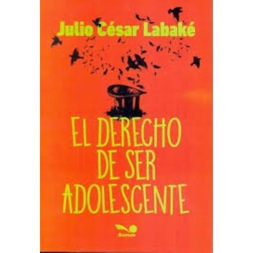 DERECHO DE SER ADOLESCENTE, EL