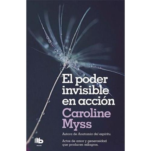 PODER INVISIBLE EN ACCION, EL