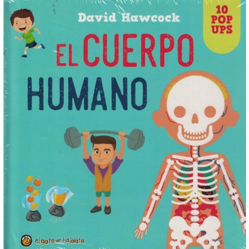 CUERPO HUMANO, EL