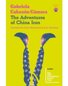 THE ADVENTURES OF CHINA IRON