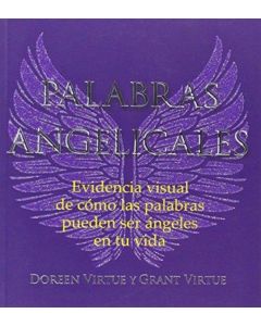 PALABRAS ANGELICALES