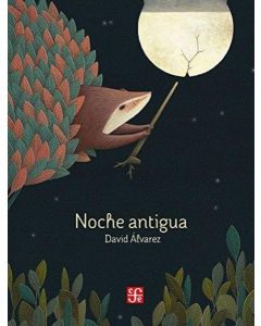 NOCHE ANTIGUA