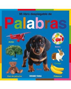 MI LIBRO DESPLEGABLE DE PALABRAS