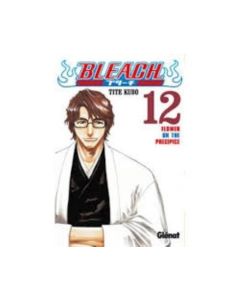 BLEACH VOL 12