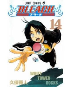 BLEACH VOL 14