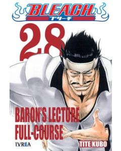 BLEACH VOL 28