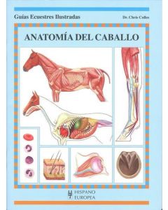 ANATOMIA DEL CABALLO