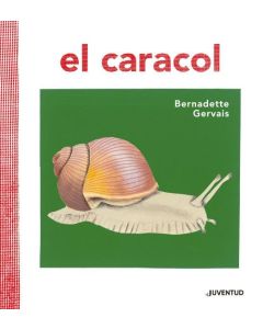 CARACOL, EL