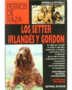 SETTER IRLANDES Y GORDON, LOS