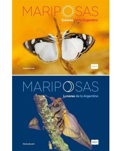 MARIPOSAS SOLARES Y LUNARES