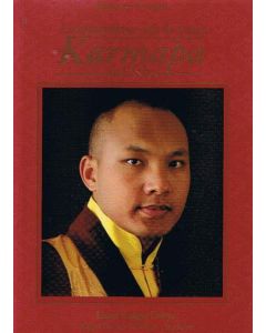 MARAVILLOSA VIDA DE LAMA  KARMAPA DEL TIBET, LA