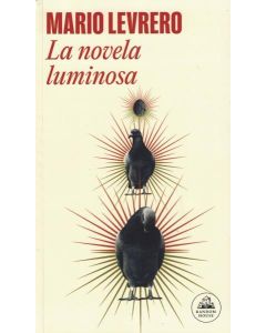 NOVELA LUMINOSA, LA