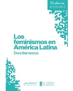 FEMINISMOS EN AMERICA LATINA, LOS